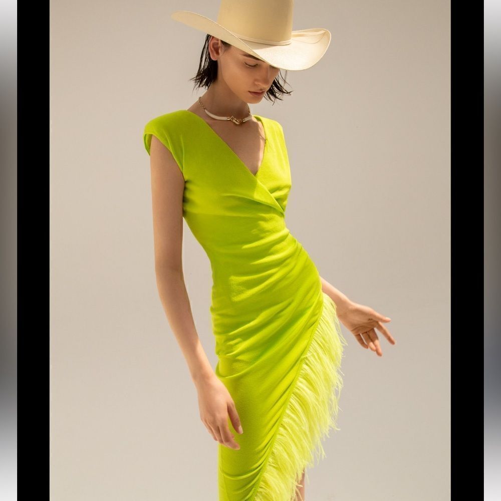 ANTONELLA RIZZA Eva Feather-Trim MIDI Dress Small